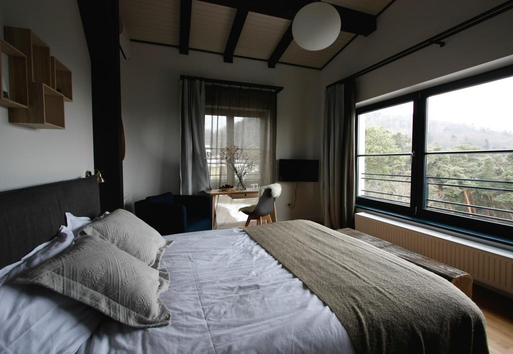 The Pines Boutique Villa Брашов Екстер'єр фото